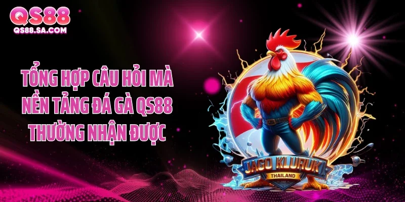 Tổng hợp câu hỏi mà nền tảng đá gà QS88 thường nhận được